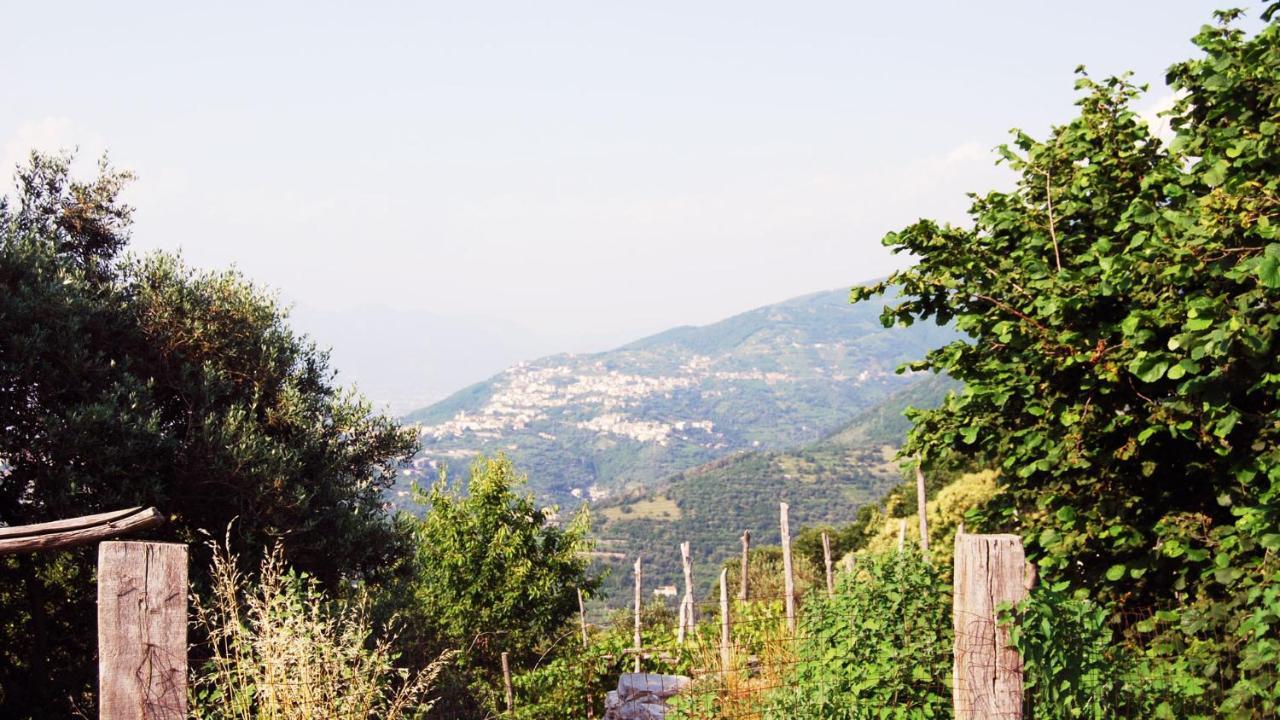 Madre Terra Villa Pimonte Esterno foto